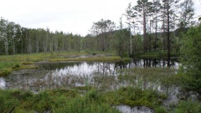 Bild: weu
Das Wanderwegekonzept wird zur Zeit überarbeitet. Der Erlebnis-Lehrpfad Kulzer Moos ist das Vorzeigeprojekt der Gemeinde.