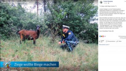 Screenshot: facebook.com/polizeioberpfalz/
Die Polizei musste in Kallmünz eine Ziege im "Vieraugengespräch" belehren.