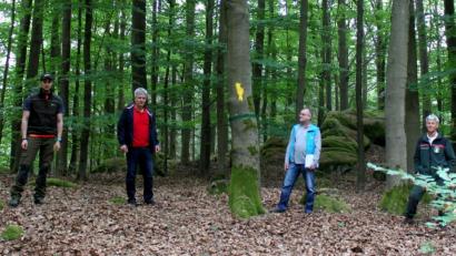 Bild: mef
Forstamtmann Sebastian Höllerer, Bürgermeister Robert Lindner, Peter Fleischmann und Forstdirektor Gerhard Hösl (von links) begutachten die Biotopbäume in der Gemeindewaldung.