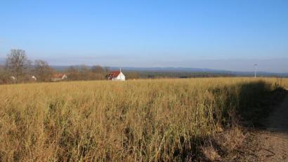 Bild: sne
Die Stadt Pressath möchte bei Altendorf auf 38.000 Quadratmetern eine Photovoltaikanlage errichten. Die Stadt Grafenwöhr war gefragt, eine Stellungnahme dazu abzugeben.