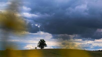Symbolbild: Stephan Jansen/dpa
Mit einem unerwartet kühlen Mai und einem überraschend regenreichen Junianfang startete der Sommer 2020.