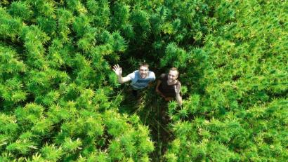 Bild: Hanfbayer/exb
Hoch hinaus wollen die Gründer von "Hanfbayer" nicht nur mit ihrer Drohne, sondern auch mit ihren Hanfprodukten.