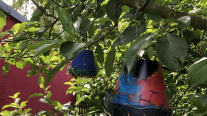 Bild: exb
Die Vorschulkinder des Kindergartens St. Hedwig haben ihre Insektenhotels an einem Apfelbaum platziert.