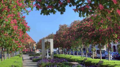 Bild: exb
Der Tirschenreuther Marktplatz.