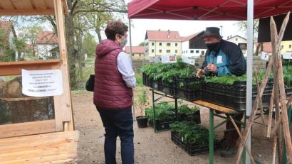 Bild: Hirsch
Regionale Produkte kaufen und dabei auf die Hygienevorschriften achten. Auf dem Bauernmarkt in Perschen lässt sich das wunderbar miteinander vereinen.