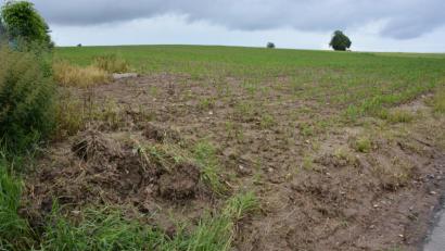 Bild: jr
Von diesem Maisfeld am Groppenheimer Weg aus kam es an Fronleichnam zu einem massiven Wasserabfluss in Richtung Ortskern.