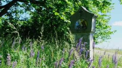 Bild: do
Zwischen einer uralten Kastanienallee laden beim Anstieg zum "Berg der Speinsharter" bebilderte Kreuzweg-Stationen zum stillen Gebet ein