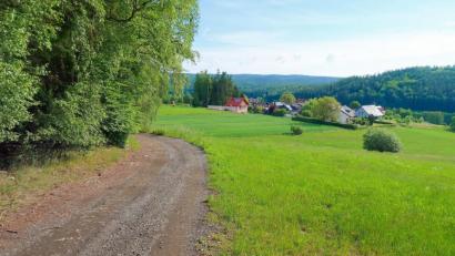 Bild: bsc
Strukturwandel und technischer Fortschritt, aber auch Freizeit und Tourismus stellen zunehmend höhere Anforderungen an das Wegenetz. Eine Verbesserung des Weges von Altenreuth nach Frauenreuth zum Blaslberg (Bild) wünschen sich seit Jahren viele Anwohner. In der Gemeinderatssitzung am Mittwoch entscheiden die Ratsmitglieder über den künftigen Ausbau.
