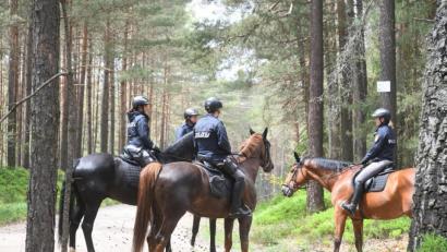 Archivbild: Gabi Schönberger
Sogar eine Reiterstaffel der Polizei Mittelfranken unterstützte die örtlichen Einsatzkräfte bei der Suche nach dem vermissten 77-Jährigen in den Wäldern am Brandweiher. Derzeit kann nicht bestätigt werden, ob es sich bei der gefundenen toten Person um den Vermissten handelt.