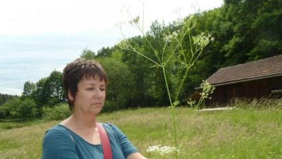 Bild: jua
Ulrike Gschwendtner kennt sich gut mit den in der Natur wildwachsenden Pflanzen aus.