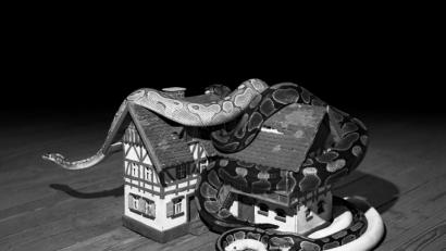 Bild: Elena Helfrecht/exb
Nichts ist, wie es scheint: Bedrohlich räkeln sich zwei Schlangen auf dem Häuschen einer Marktredwitzer Landschaftskrippe. Mit diesem Bild hat Elena Helfrecht den zweiten Platz beim "Sony Award" belegt.