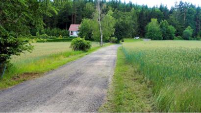 Bild: bsc
Eine Spezialfirma soll den Verbindungsweg von Frauenreuth nach Altenreuth (im Bild der Anschluss in die Bärnhöher Straße) demnächst instandsetzen. Mit dieser Entscheidung verabschiedete sich der Friedenfelser Gemeinderat von dem bereits 2015 gefassten Beschluss einer aufwendigen Sanierung im Verfahren zum Kernwegenetz.