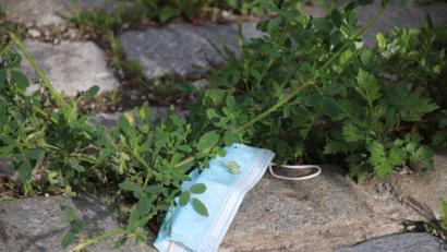 Bild: cog
Mitunter tragen jetzt auch schon Pflastersteine eine Maske.