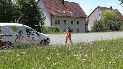 Archivbild: rfi
Durch die mehrjährigen Pflanzenarten präsentieren sich die Blühwiesen am Wegesrand immer wieder aufs Neue.