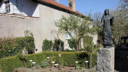 Bild: ads
Herzstück des oberen Kräutergartens ist der Klostergarten der Heiligen Hildegard mit Gewächsen, die in ihrer Heilkunde Verwendung fanden.