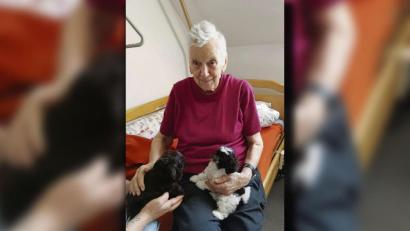 Bild: Sabine Haarkötter/exb
Gerade mal sieben Wochen alt sind die Hundebabys, deren Besuch die Senioren im Marienheim sichtlich genossen.