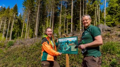 Bild: exb
Miriam Lang, Spezialistin für Naturschutz an der Zentrale der Bayerischen Staatsforsten und Förster Gerhard Schirbel vom Forstbetrieb Fichtelberg montieren eine Infotafel am neu bepflanzten Waldsaum entlang des Radwegs nach Warmensteinach.