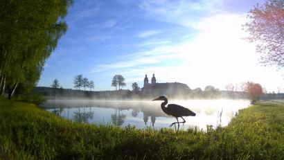 Bild: do
Grau- und Silberreiher, Störche und Wildgänse entdecken ausgerechnet den kleinen "Torfstich" vor dem Kloster Speinshart als Gourmettempel