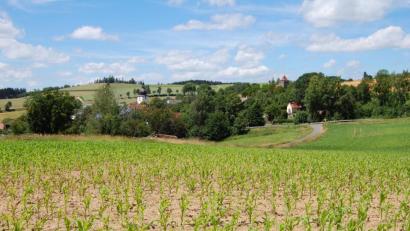 Bild: sm
Am nördlichen Ortsende von Kirchendemenreuth soll ein neues Baugebiet mit Blick auf das Haberland und auf Parkstein entstehen. Momentan wächst noch Mais auf dem Süd-West-Hang. Aber eventuell schon in zwei Jahren könnten hier die ersten Häuser stehen.