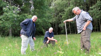Bild: ubb
Herbert Lankl, Erwin Möhrlein und Michael Rösch (von links) suchen auf der "Mondrauten-Wiese" nach seltenen Pflanzen wie der Arnika.