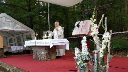 Bild: hzi
Ruhestandspfarrer Helmut Süß zelebriert im Freien vor der Wallfahrtskirche Mariä Heimsuchung Gottesdienste zur Vorbereitung auf das Patrozinium.