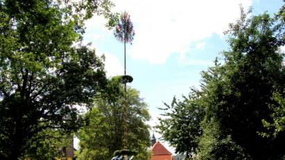 Bild: ds
Nach viel Anstrengung und Schweiß kündet der geschmückte Baum von der Kirwa in Kirchenreinbach.