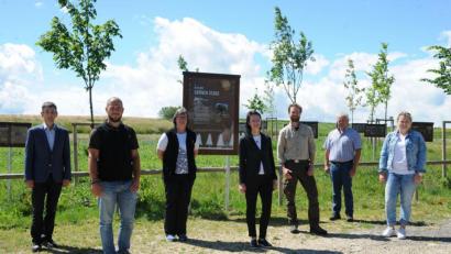 Bild: Andreas Brückmann
Gemeinsam freuen sie sich über ihre Allee der grünen Stars (von links): Ursensollens Bürgermeister Albert Geitner, Naturpark-Mitarbeiter Alexander Gnatz und Geschäftsführerin Isabel Lautenschlager, Andrea Zitzmann, Leiterin der Fielmann-Niederlassung in Amberg, Naturpark-Ranger Jonas Nelhibel, Johann Schmaußer, der Biodiversitätsbeauftragte der Gemeinde Ursensollen, und Gemeinde-Verwaltungsfachwirtin Nina Forster.