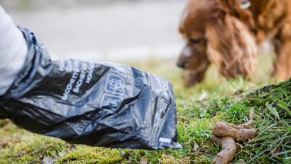 Bild: Christoph Schmidt/dpa
Die Vilsecker Stadtverwaltung will gegen Tretminen vorgehen. Notfalls droht uneinsichtigen Hundebesitzern auch ein Bußgeld.