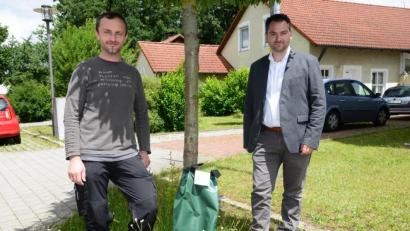 Bild: bey
Olivgrün sind die Bewässerungssäcke, die der Markt Luhe-Wildenau für die Bäume und Sträucher vorrangig am Marktplatz in Luhe, aber auch in den Hauptstraße in Oberwildenau und Neudorf anschafft. Damit will der Markt dem "Hitzestress" der Bäume entgegenwirken, sagte Bürgermeister Sebastian Hartl bei der Vorstellung der Errungenschaft gemeimsam mit Bauhofleiter Stephan Gloßner.