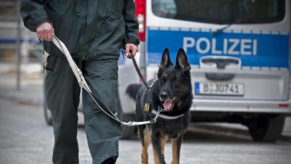 Bild: Jan-Philipp Strobel
Die Polizei sucht auch mit Hunden nach dem vermissten 67-Jährigen.