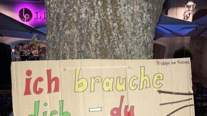 Bild: exb
Nicht nur die Bäume brauchen unsere Hilfe, es gilt auch umgekehrt.