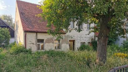 Bild: gz
Das direkt an der Kapellenstraße befindliche alte Gemäuer mit dem hohen Gras ist kein schöner Anblick.