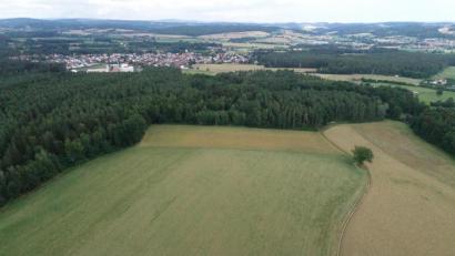 Bild: bey
Bis zum Waldrand (linker Bildteil, im Hintergrund Oberwildenau und weiter in Richtung Süden über den Feldweg, unter dem die gemeindliche Wasserleitung verläuft, entsteht die Freiflächenphotovolktaikanlage.