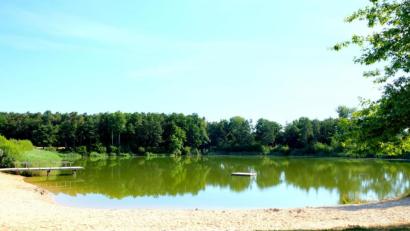 Bild: mab
Das Wasser im Forsterweiher ist aus gesundheitlicher Sicht für den Badebetrieb gut geeignet. Zu diesem Ergebnis kommt eine Laboruntersuchung.