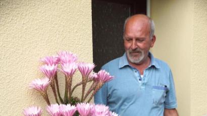 Bild: bkr
Karl Kreuzer und sein 30 Jahre alter Kaktus mit insgesamt 33 Blüten.