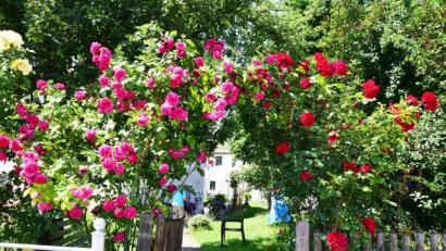 Bild: no
Das Eingangsportal zum Nägerl-Garten.