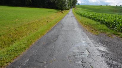 Bild: jr
In einem schlechten Zustand ist die Straße von Altenhammer nach Königshütte. Für künftige Sanierungs- und Ausbaumaßnahmen wird nun eine Prioritätenliste erstellt, auf der die mehr als 100 Orts- und Verbindungsstraßen in der Gemeinde Leonberg erfasst werden.