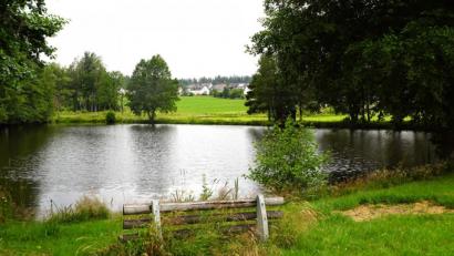 Bild: bkr
Der unkomplizierteste Weg der Entsorgung wäre, den Regenwasserkanal in den Mühlweiher einzuleiten. Doch dem müsste auch der Eigentümer zustimmen.