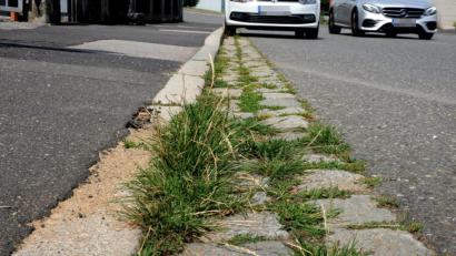 Bild: Stephan Huber
Die Verkrautung der Rinnsteine stellt nicht nur die privaten Grundstücksanlieger ein Problem dar. Auch die Stadt Amberg kämpft gegen die Gräser und Kräuter.
