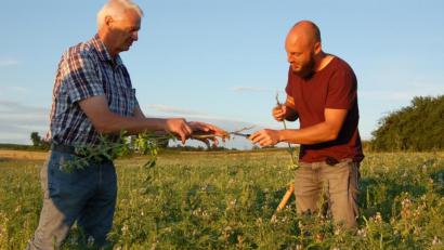 Bild: Barbara Ströll, Öko-Modellregion
Fachberater Konrad Maier (rechts) besucht mit Landwirten einen Ökobauernhof in Ensdorf. Dort tauscht man sich über Erfahrungen, die man gemacht hat, aus.