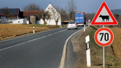 Archivbild: Stephan Huber
Entlaufene Kühe haben im Landkreis schon öfter für Verkehrsbehinderungen gesorgt.