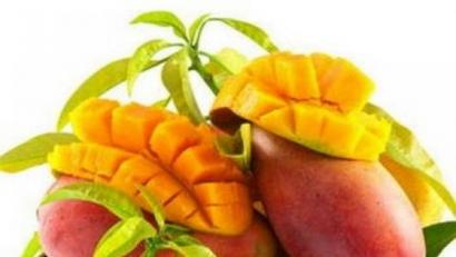 Bild: obx-medizindirekt/Fotolia
Mangos enthalten doppelt so viel Vitamin C wie Kirschen oder Brombeeren, außerdem die Vitamine B1 und B2 sowie Niacin. Ihr hoher Gehalt an Kalium macht sie für den Zellstoffwechsel besonders wertvoll.