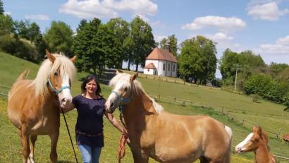 Bild: Christa Vogl
Derzeit werden auf dem Hof von Familie Grassler-Schuhmann nur zwei Stuten gemolken. Katrin Grassler ist überzeugt von der Wirkung der Stutenmilch.