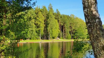 Bild: flt
Noch ist die Liegewiese am Waldstrandbad "Großer Weiher" leer. Wenn das nötige Personal noch gefunden wird, dann kann sich dies vielleicht bald ändern.
