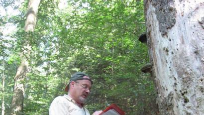 Bild: exb/A. Schiener
Forstamtsrat Johannes Bradtka vom Forstrevier Kemnath bei der Erfassung von Flechten. Viele gefährdete Flechtenarten sind auf das Vorkommen von Totholz und alten Biotop-Bäumen existenziell angewiesen.