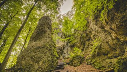 Bild: Stephan Böhm/exb
Für manche Menschen ein Kraftort, für andere beeindruckend aufgrund seiner Geschichte: Der Kalmusfels war Teil einer vor- und frühgeschichtlichen Ringwallanlage.