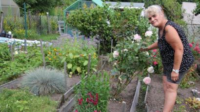 Bild: kro
Seit 40 Jahren betreibt Gabi Härtl mit ihrer Mutter ihren 220 Quadratmeter großen Schrebergarten an der Mähringer Straße in Tirschenreuth.