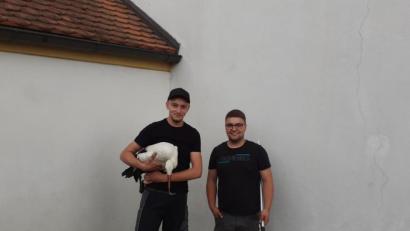 Bild: Polizei Neustadt an der Waldnaab
Die Mitarbeiter des Vogelbeauftragten, Tom Brandl und Alexander Kost, haben den verletzten Storch erfolgreich geborgen.