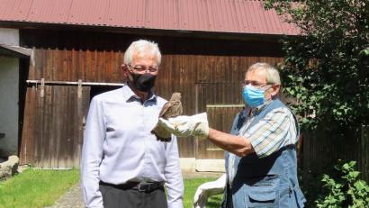 Bild: tu
Hubert G. Schmid (rechts) und Pfarrer Georg Hartl lassen den jungen Turmfalken wieder frei.