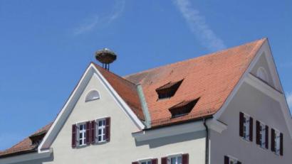 Bild: frd
Im vorigen Jahr ist das Amtsgebäude vom Freistaat Bayern auf die Verwaltungsgemeinschaft Oberviechtach übergegangen. Ab dem nächsten Jahr sollen Umbauten das Haus barrierefrei machen, außerdem sind "Ertüchtigungsmaßnahmen" vorgesehen.